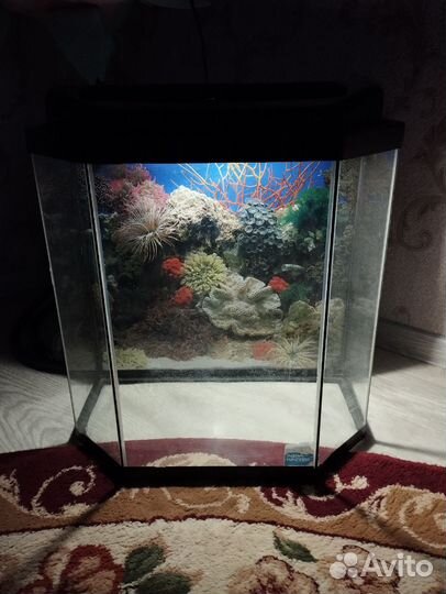 Аквариум