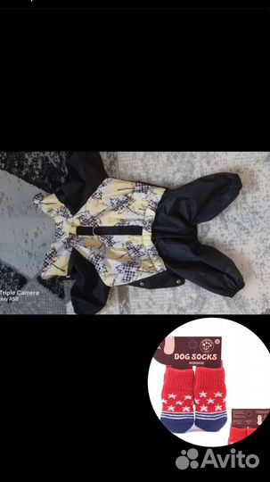 Одежда для собак