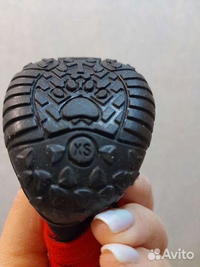 Обувь для собак