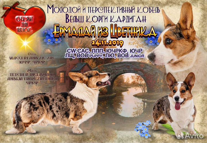 Вязка