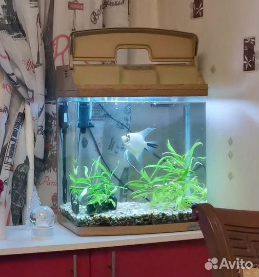 Аквариум jebo 338