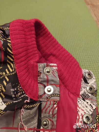 Одежда для собаки