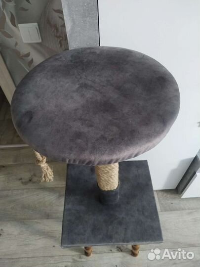 Когтеточка