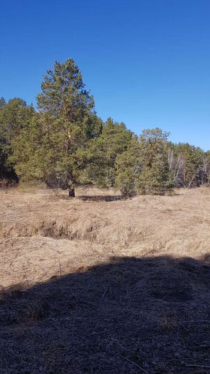 Участок 50 сот. (ИЖС)