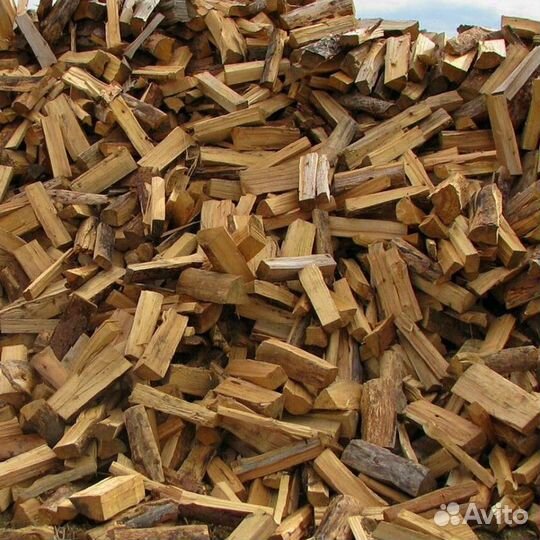 Дрова в область