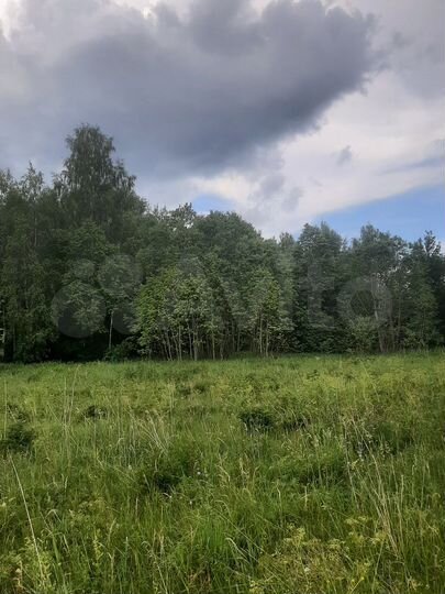 Участок 11 сот. (ИЖС)