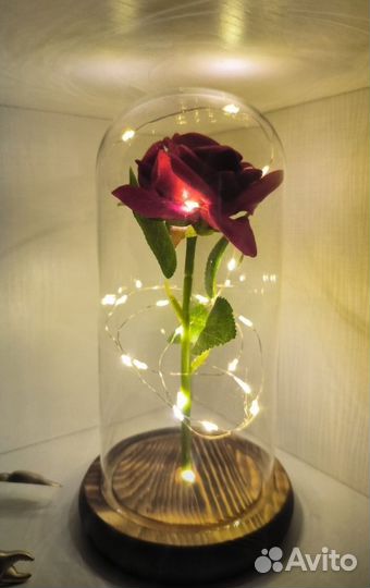 Роза в колбе