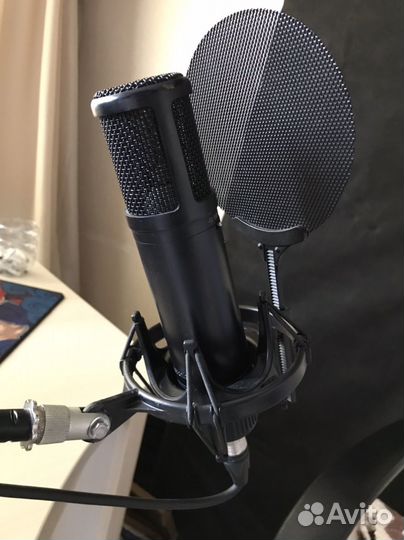 Микрофон SE electronics 2200