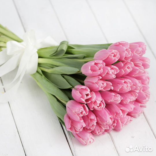 Тюльпаны Крупные премиум не местные Голландия