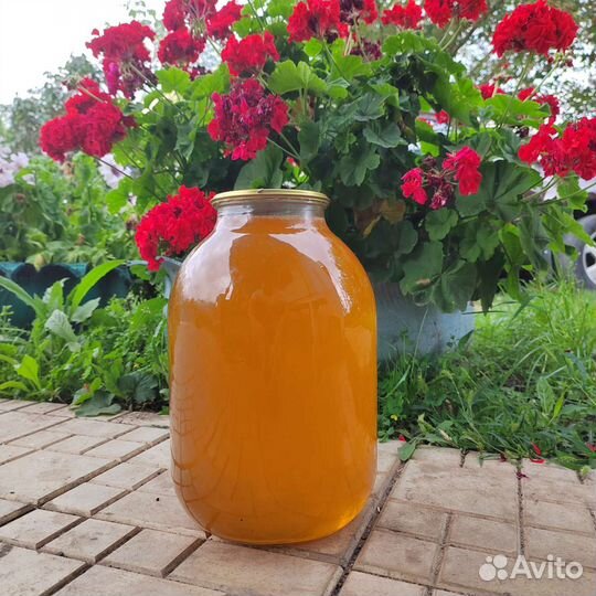 Мёд пчелиный