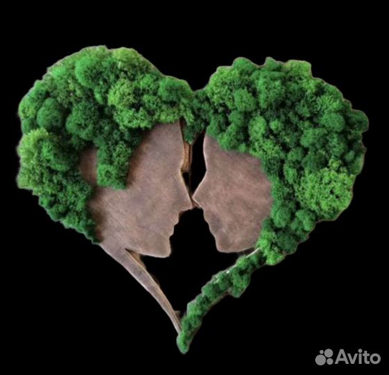 Мох стабилизированный оптом и в розницу