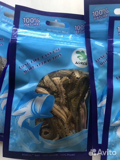 Морской червь нереис