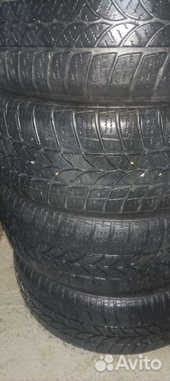 Tigar Winter 1 205/55 R16