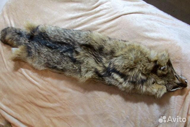 Шкура волка