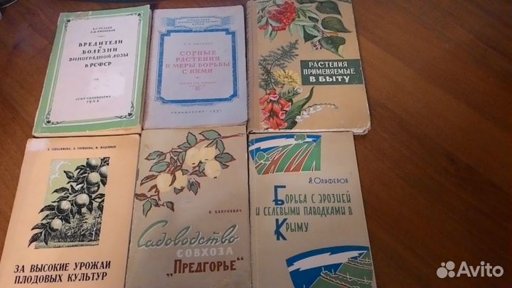 Виноградарство. Растения. Грибы, Ботаника