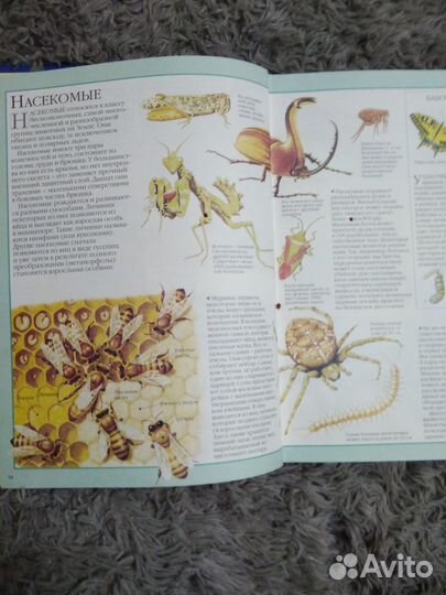 Золотая книга знаний (энциклопедия)