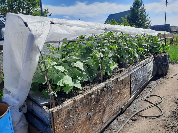 Участок 5 сот. (СНТ, ДНП)