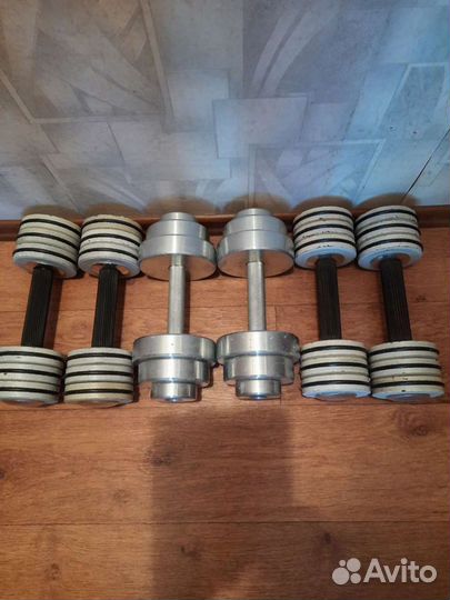 Гантели разборные