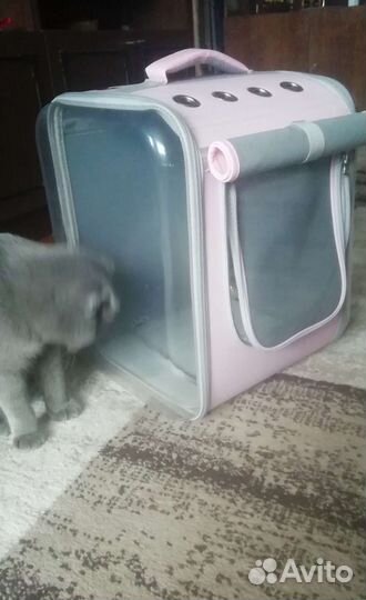 Рюкзак-переноска для кошек и собак