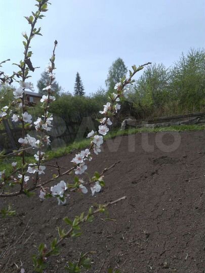 Участок 7 сот. (СНТ, ДНП)