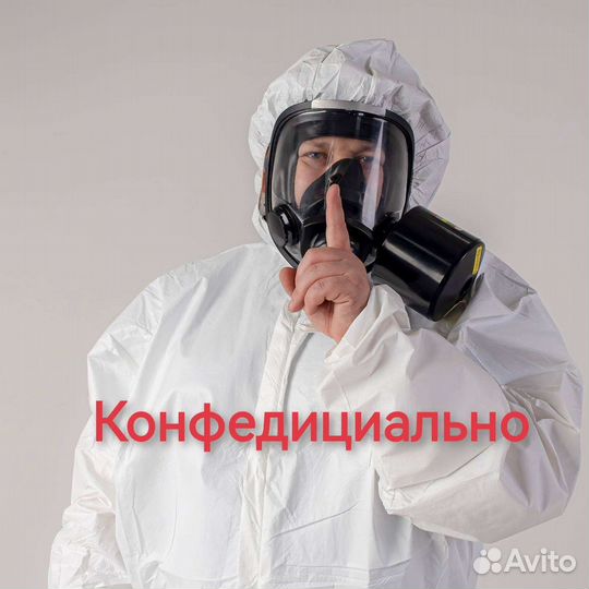 Уничтожение клещей, клопов, тараканов. Дезинфекция