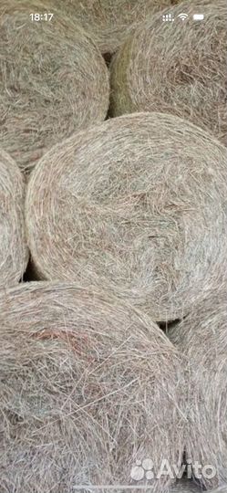 Сено в рулонах с доставкой