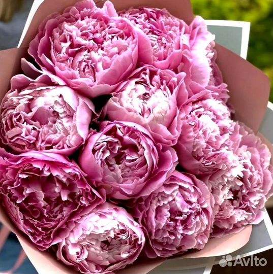 Пионы, заказать букет из пионов с доставкой