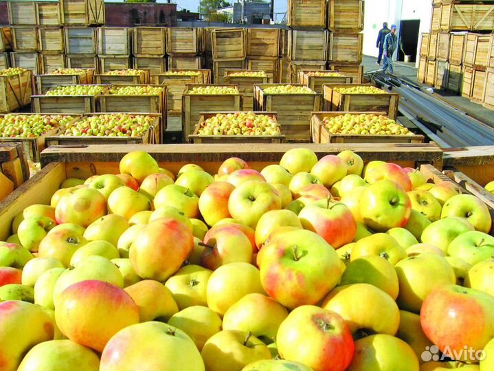 Вахта 30/45 смен Разнорабочий еда+жилье Волгоград