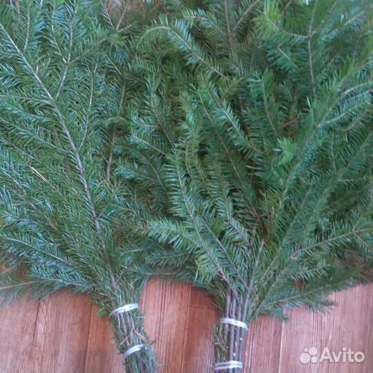 Веники пихтовые от производителя