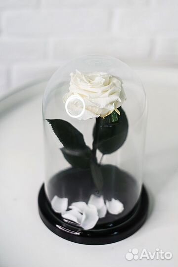 Роза в колбе 