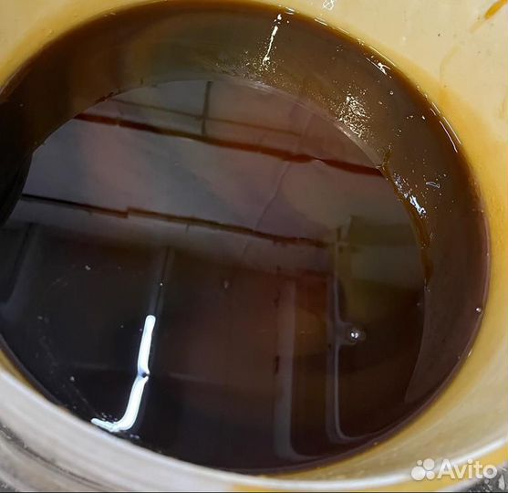 Гречишный мед с Алтая оптом
