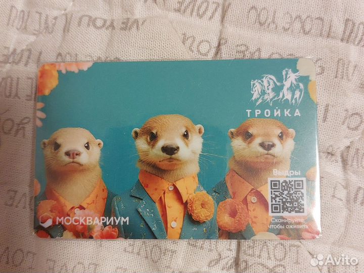 Тройка Москвариум Выдры