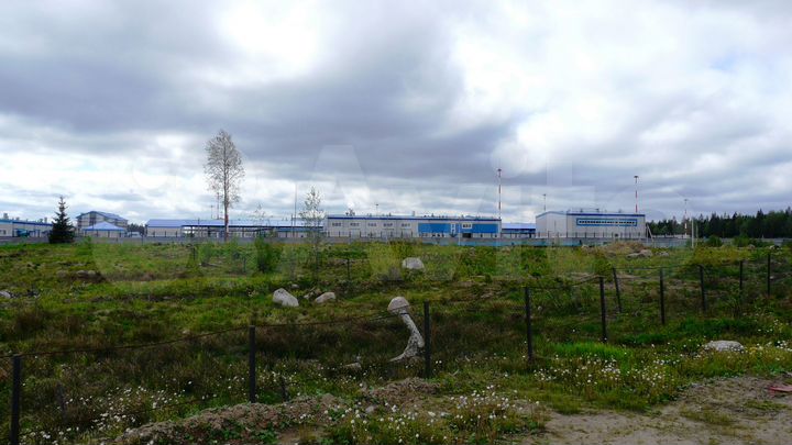 Участок 6 га (промназначения)