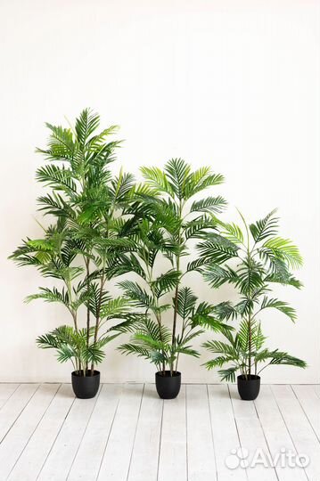 Искусственное дерево Пальма Ховея