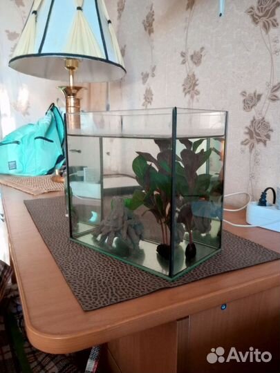 Аквариум