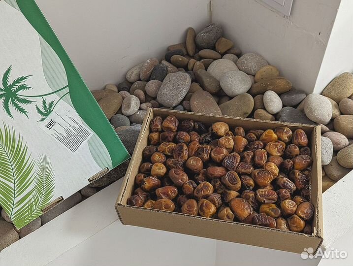 Финики суккари