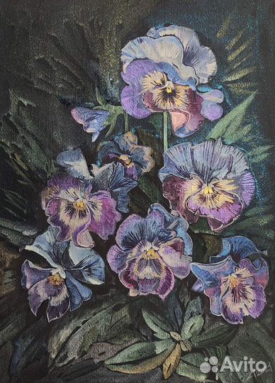 Картина акварелью Цветы анютины глазки