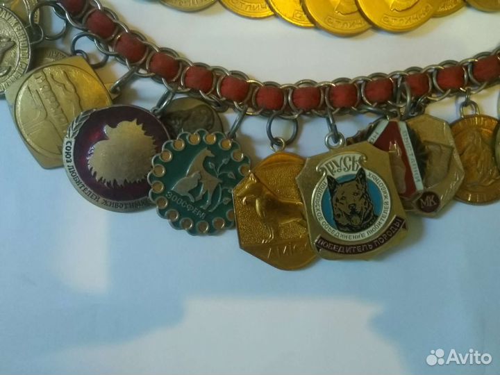 Медали собачьих выставок на выставочном ошейнике