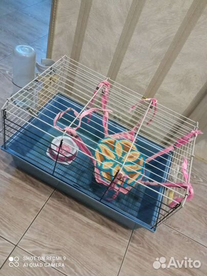 Клетка для грызунов ferplast