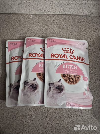 Корм для кошек royal canin влажный
