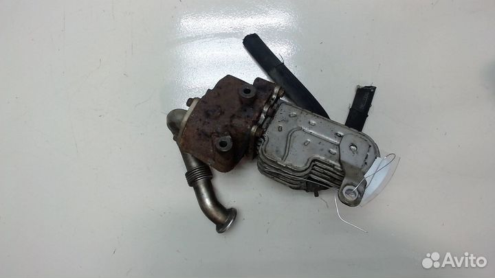 Охладитель отработанных газов LDV (DAF) Maxus, 200