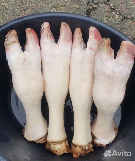 Ножки говяжьи и требуха