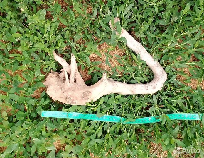 Коряги для декора