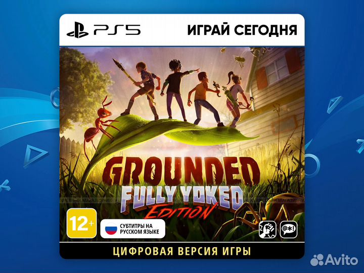 Grounded PS5