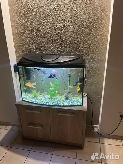 Аквариум с тумбой 130л и с рыбками