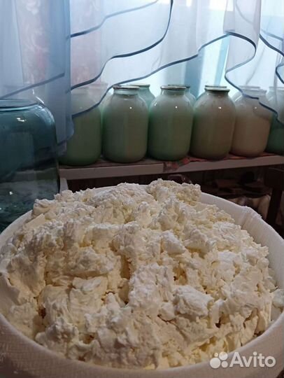 Молочные продукты