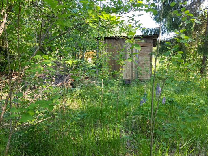 Участок 6 сот. (СНТ, ДНП)