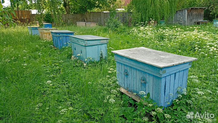 Улей для пчел