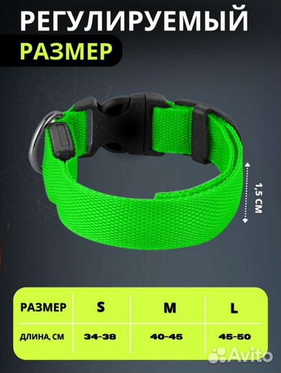 Светящийся ощейник