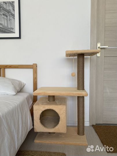 Футуристичная когтеточка для кошки